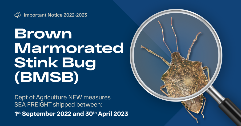 2022-2023 Brown Marmorated Stink Bug Season
