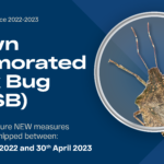 2022-2023 Brown Marmorated Stink Bug Season